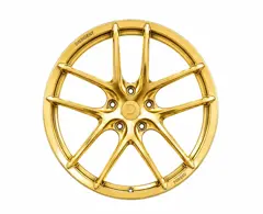 Gloss Gold